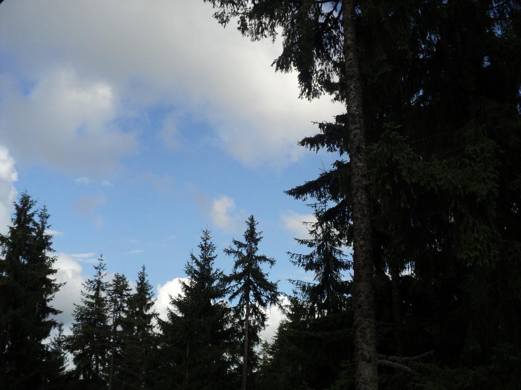 Cabana Suvenirurilor Scarisoara  Bagian luar foto