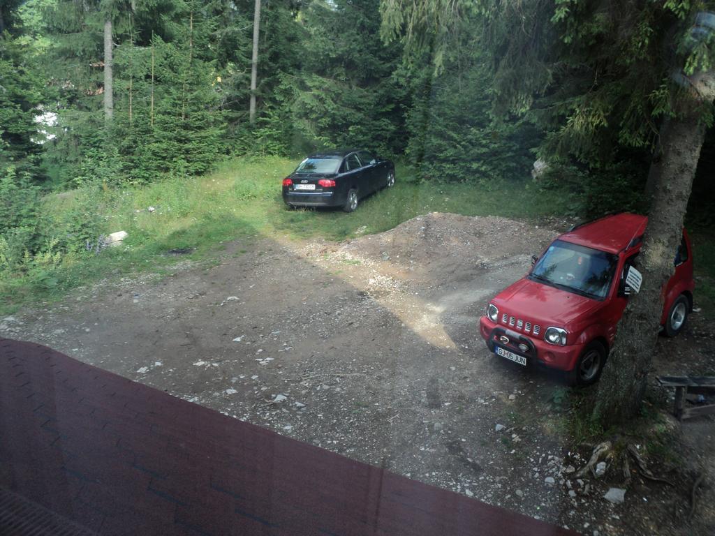 Cabana Suvenirurilor Scarisoara  Bagian luar foto