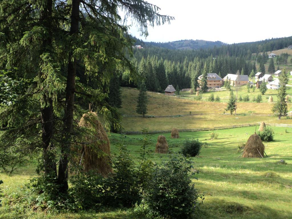 Cabana Suvenirurilor Scarisoara  Bagian luar foto