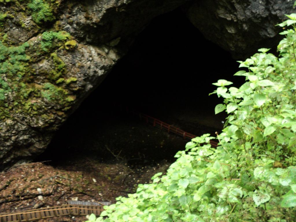 Cabana Suvenirurilor Scarisoara  Bagian luar foto