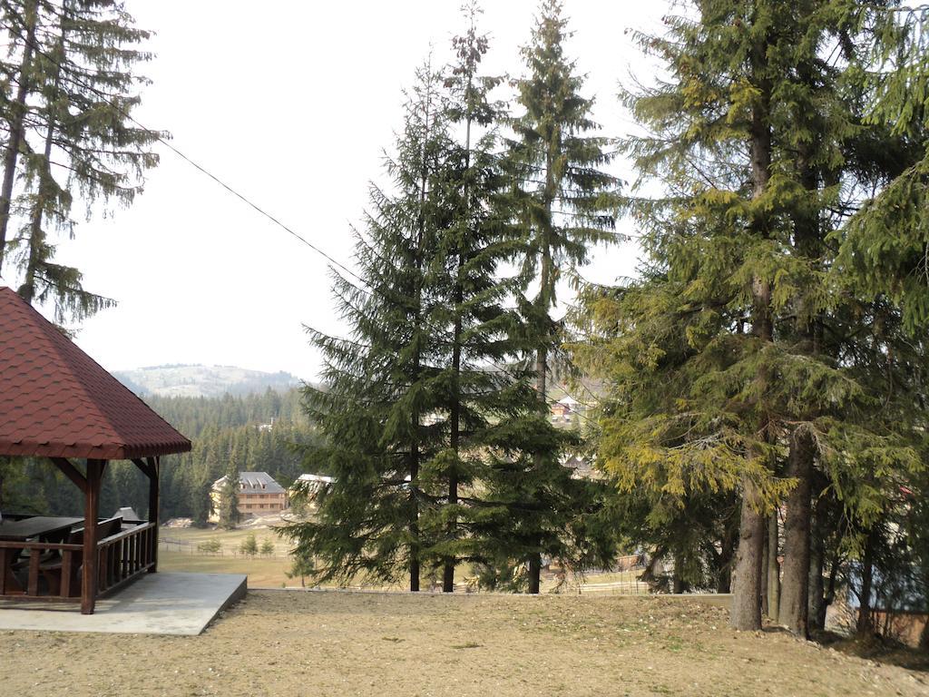 Cabana Suvenirurilor Scarisoara  Bagian luar foto