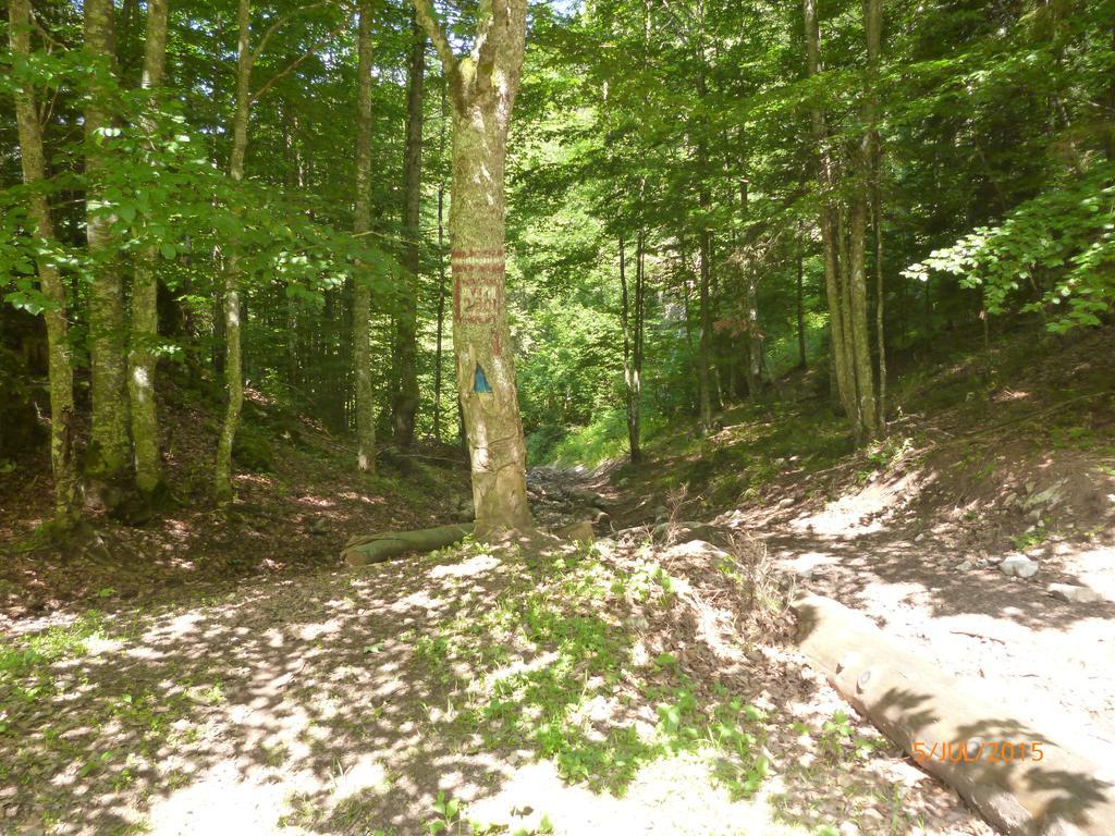 Cabana Suvenirurilor Scarisoara  Bagian luar foto